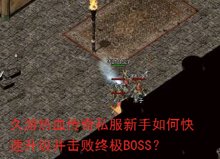 ������Ѫ����˽��������ο��������������ռ�BOSS��