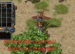 传奇私服遭劫持如何应对?最新游戏安全攻略解析 传奇私服遭劫持如何应对?最新游戏安全攻略解析