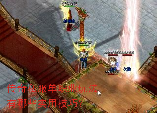 传奇私服单职业玩法有哪些实用技巧? 传奇私服单职业玩法有哪些实用技巧?