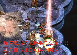 ����˽������������ô�棿ְҵѡ����������������Щ��