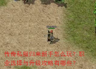 ����˽������������ô�棿ְҵѡ����������������Щ��
