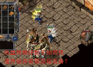 热血传奇SF新手如何快速升级并获取顶级装备? 热血传奇SF新手如何快速升级并获取顶级装备?