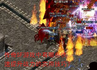 ����SF��Ϸ������Щ��������ս����ʵ�ü��ɣ�