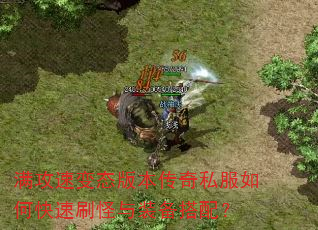 �����ٱ�̬�汾����˽����ο���ˢ����װ�����䣿