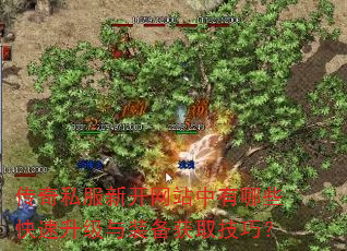 ����˽���¿���վ������Щ����������װ����ȡ���ɣ�