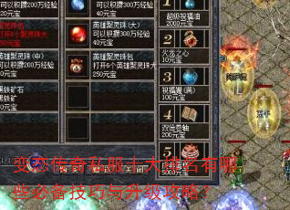 ��̬����˽��ʮ����������Щ�ر��������������ԣ�