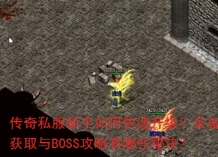 ����˽��������ο���������װ����ȡ��BOSS��������Щ�ؾ���
