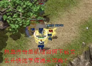 ��Ѫ���浥����������ذ�װ����������ͨ�ع��ԣ�