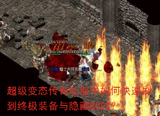 ������̬����˽������ο���ˢ���ռ�װ��������BOSS��