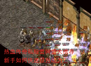 ��Ѫ����˽������ʢ���Ƽ�������ο�������ս����