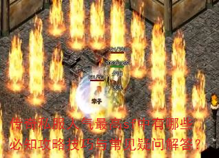 ����˽���������sf������Щ��֪���Լ����볣�����ʽ��
