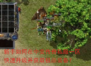 ����������б䴫��˽��һ��������������ȡ��Ʒװ����