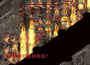 ����˽��ְҵ���ѡ��