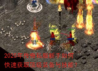 2025�괫��˽��������ο��ٻ�ȡ����װ���뼼�ܣ�