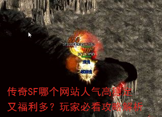 ����SF�ĸ���վ�������ȶ��ָ����ࣿ��ұؿ����Խ���