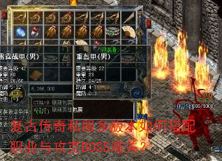���Ŵ���˽����汾��δ���ְҵ�빥��BOSS�ѹأ�