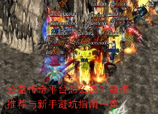 ���洫��ƽ̨��ôѡ�������Ƽ������ֱܿ�ָ��һ��