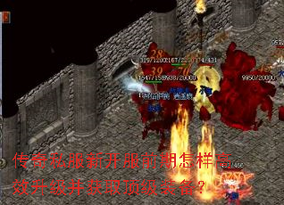 ����˽���¿���ǰ��������Ч��������ȡ����װ����