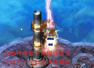 ��Ѫ����������ο�������ս����ȫְҵ���Խ���