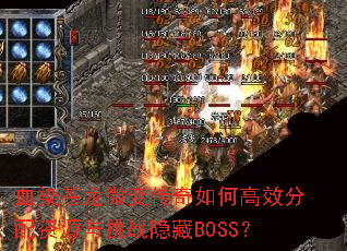 ѪȾ����΢�䴫����θ�Ч������Դ����ս����BOSS��