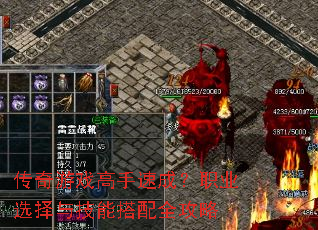 ������Ϸ�����ٳɣ�ְҵѡ���뼼�ܴ���ȫ����