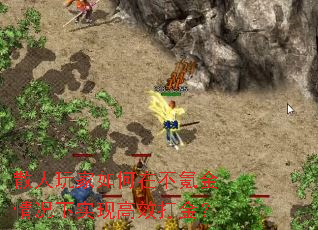 ɢ���������ڲ�봽������ʵ�ָ�Ч���