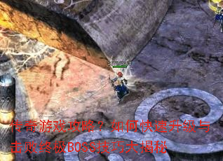 ������Ϸ���ԣ���ο�������������ռ�BOSS���ɴ����