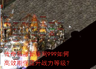 ����˽���·���999��θ�Чˢ������ս���ȼ���