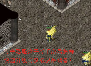 传奇私服盒子新手必看怎样快速升级与获取极品装备? 传奇私服盒子新手必看怎样快速升级与获取极品装备?