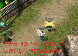 传奇私服盒子新手必看怎样快速升级与获取极品装备? 传奇私服盒子新手必看怎样快速升级与获取极品装备?