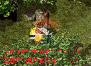 沉默单职业传奇私服中如何快速获得顶级装备与提升战力? 沉默单职业传奇私服中如何快速获得顶级装备与提升战力?