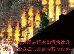 �¿�����SF��վ�����ο���������ְҵѡ����װ����ȡȫ����