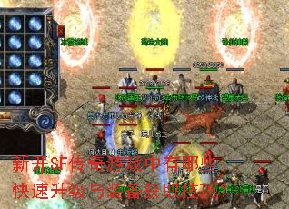 �¿�SF������Ϸ������Щ����������װ����ȡ���ɣ�