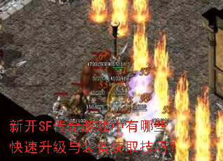新开SF传奇游戏中有哪些快速升级与装备获取技巧? 新开SF传奇游戏中有哪些快速升级与装备获取技巧?