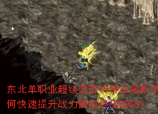 ������ְҵ������̬����˽��������ο�������ս����ս�ռ�BOSS��