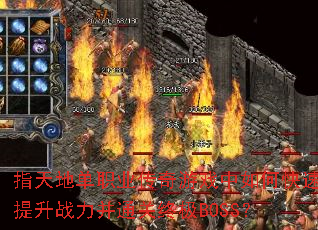 ָ��ص�ְҵ������Ϸ����ο�������ս����ͨ���ռ�BOSS��