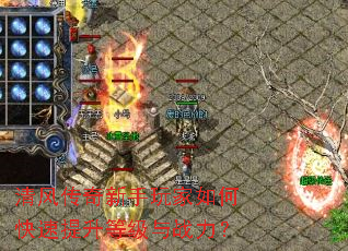 ��紫�����������ο��������ȼ���ս����