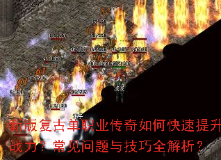 �°渴�ŵ�ְҵ������ο�������ս�������������뼼��ȫ������