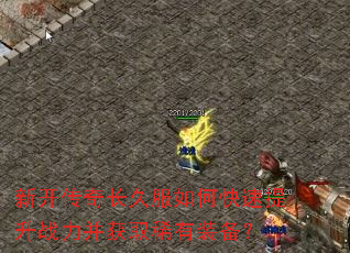 新开传奇长久服如何快速提升战力并获取稀有装备? 新开传奇长久服如何快速提升战力并获取稀有装备?
