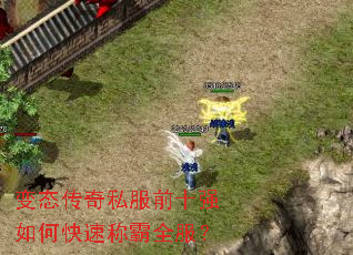 变态传奇私服前十强如何快速称霸全服? 变态传奇私服前十强如何快速称霸全服?