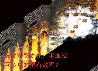 ��ʦ�ջ�֮�⣺��Ѫ�о޶���ĸ���Ч��