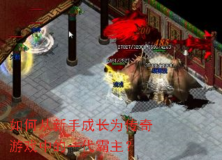 ��δ����ֳɳ�Ϊ������Ϸ�е�һ��������