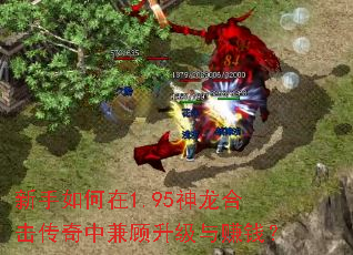 新手如何在1.95神龙合击传奇中兼顾升级与赚钱? 新手如何在1.95神龙合击传奇中兼顾升级与赚钱?