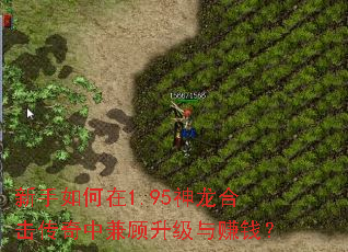 新手如何在1.95神龙合击传奇中兼顾升级与赚钱? 新手如何在1.95神龙合击传奇中兼顾升级与赚钱?