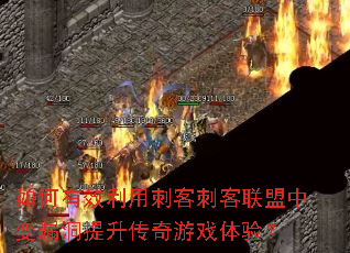 �����Ч���ô̿ʹ̿������б�©������������Ϸ���飿