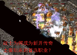 սʿΪ�γ�Ϊ�¿�����������ҵ���ѡְҵ��
