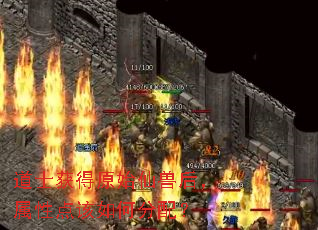 道士获得原始仙兽后,属性点该如何分配? 道士获得原始仙兽后,属性点该如何分配?