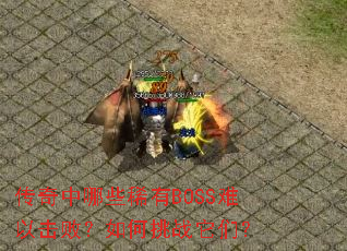 ��������Щϡ��BOSS���Ի��ܣ������ս���ǣ�