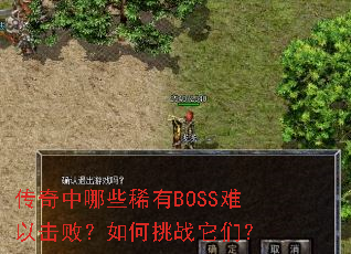 ��������Щϡ��BOSS���Ի��ܣ������ս���ǣ�