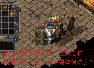 սʿ��ε���BOSS����ʦ������Чˢ�֣���ʿ�ٻ������������